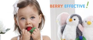 RaZBerry Teether | The Nest Attachment Parenting Hub